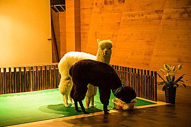 《猎天使魔女3》配音号召抵制游戏 被开出侮辱性工资